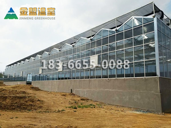 玻璃溫室